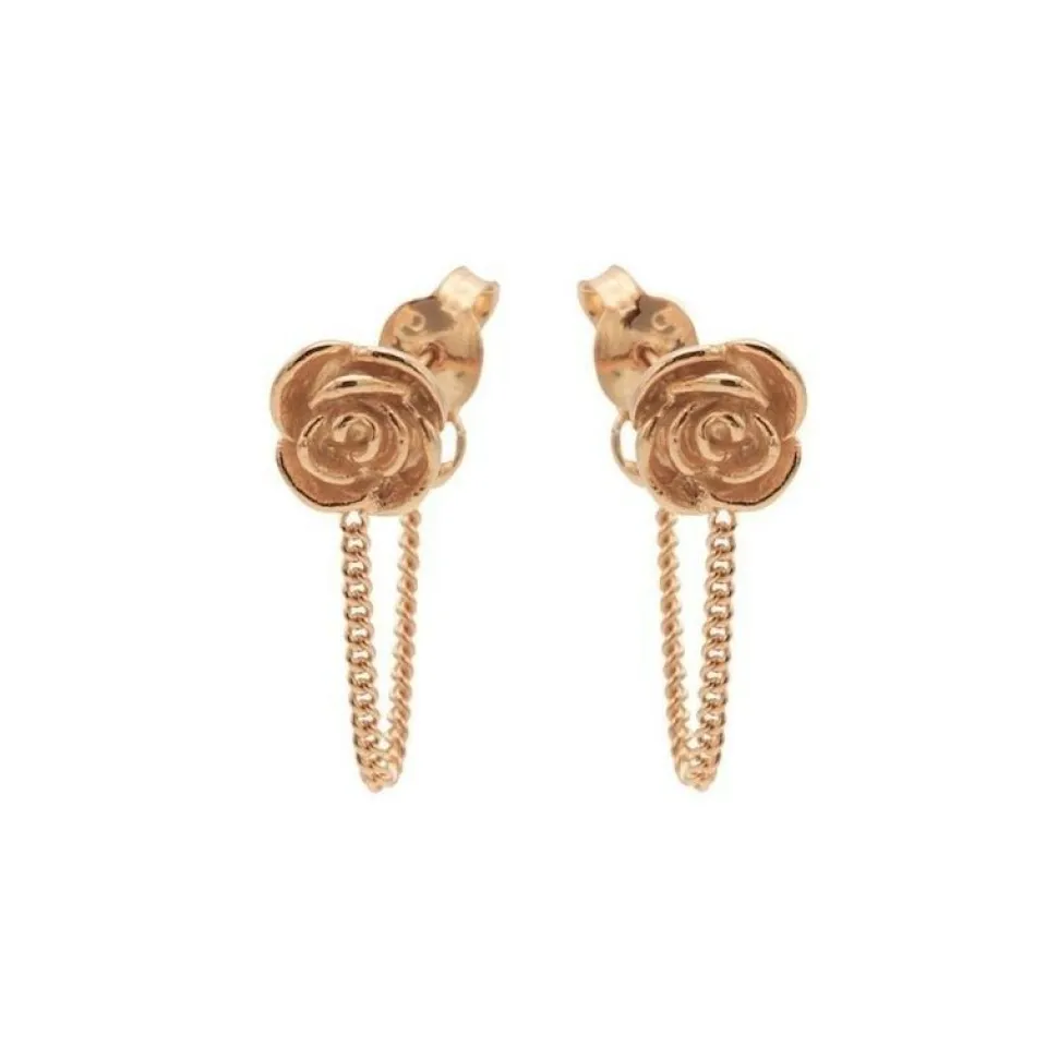 Chain Rose - Rose