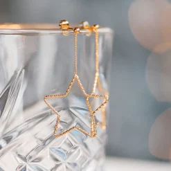 iXXXi oorbellen Spirit Rose - E04700