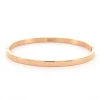 Kalli Bangle Basic Shiny - 2055R