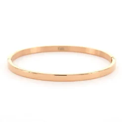 Kalli Bangle Basic Shiny - 2055R