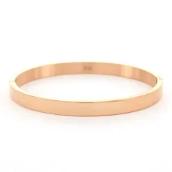 Kalli Bangle Basic Shiny - 2034R