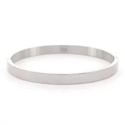 Kalli Bangle Basic Shiny - 2034S