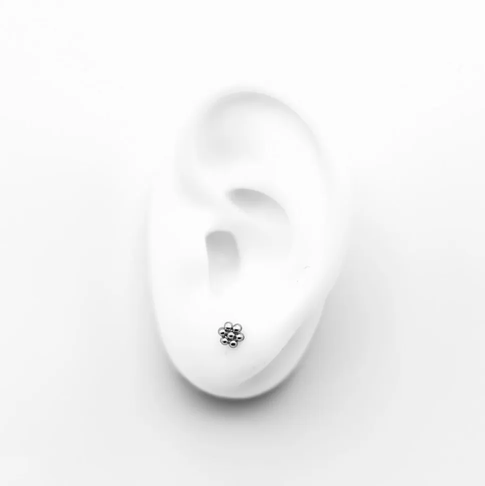 Symbol 7 dots - Rose